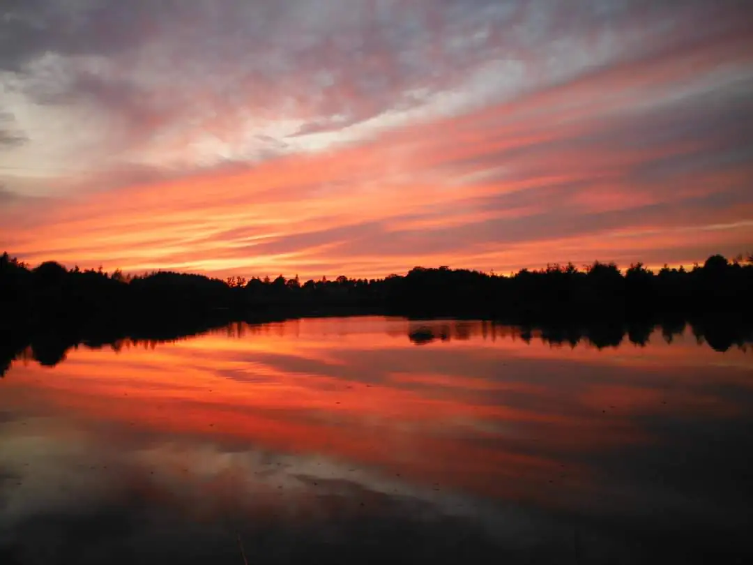 Carp Fishing in September: The Science Behind the Season