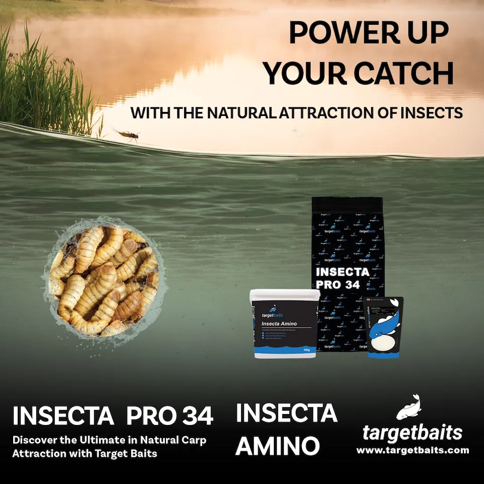 It's Here! Introducing the Insecta Range!